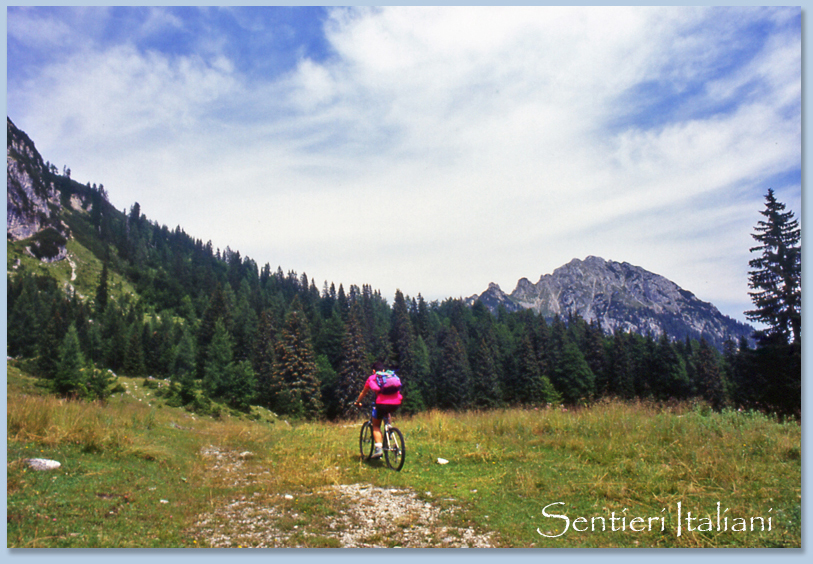 Anello MTB Intorno Al Monte Santo Di Lussari, Foresta Del Tarvisio ...